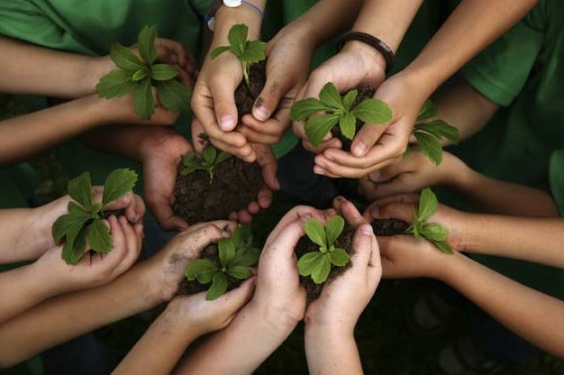 Children's holding plants in a circle