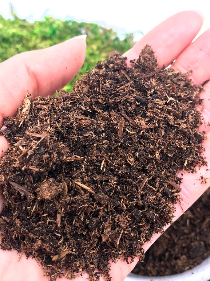 Terrarium and Multi Purpose Planting Sand Garden Outside The Box