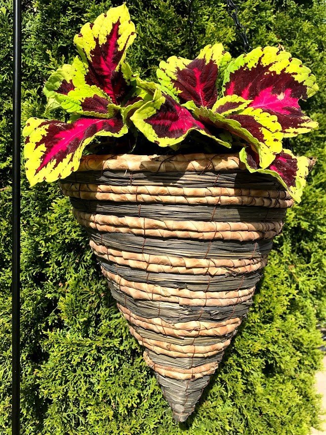 12" SAMANTHA Cone Hanging Basket - Garden Outside The Box