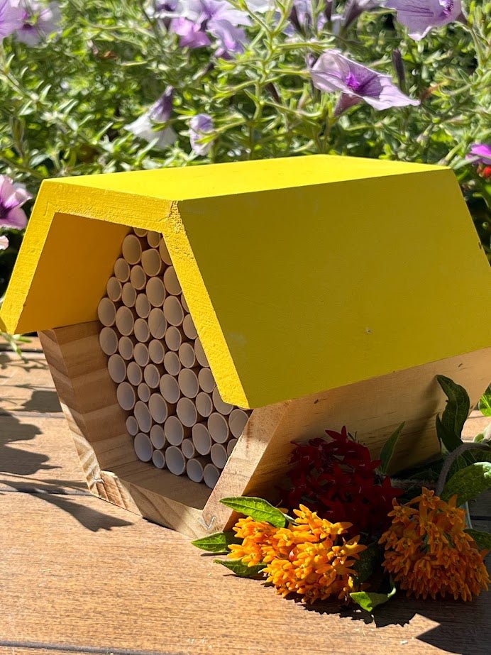Honeycomb Pollinator for for Mason Bees