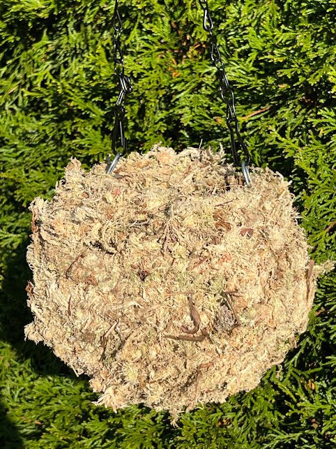 Natural Moss Ball Planter