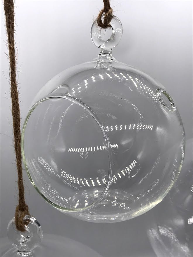 Hanging Glass Globe Terrarium for Air Plants