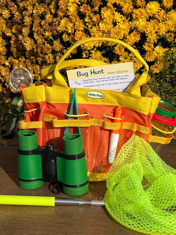 Children's Insect and Bug Observation Kit 