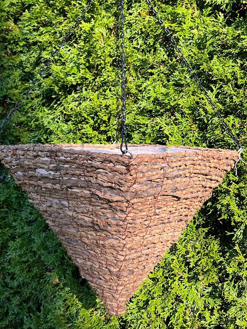 Fern Hanging Basket