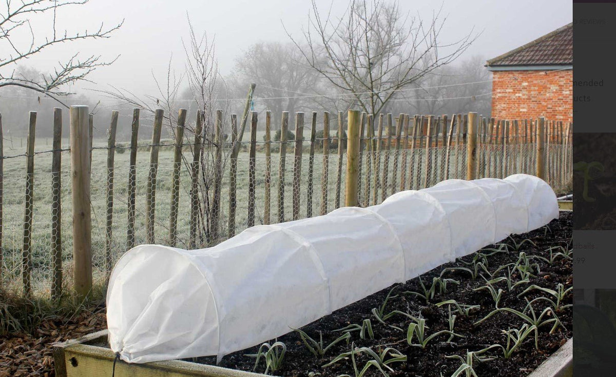 Low Tunnel Frost and Cold Garden Outside The Box