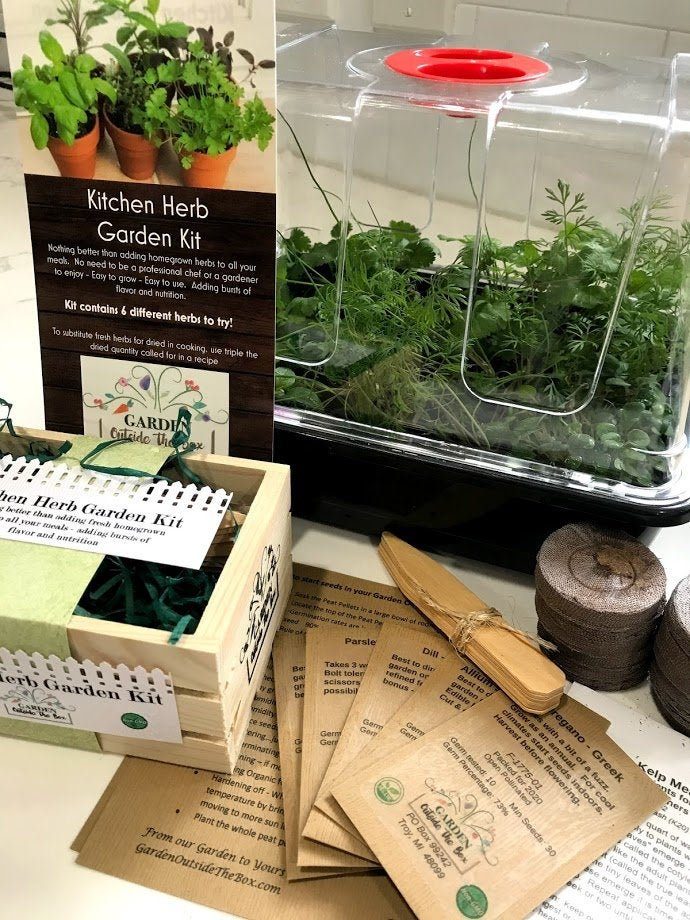 Kitchen Herb Garden Collection - Garden Outside The Box