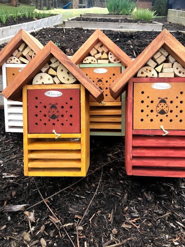 Ladybug and Pollinator House - Garden Outside The Box