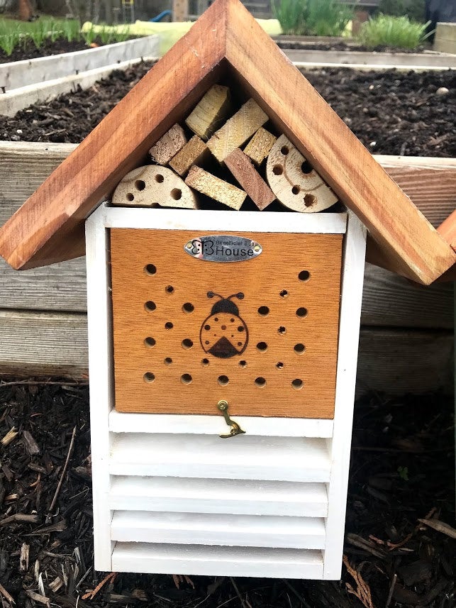 Ladybug and Pollinator House - Garden Outside The Box