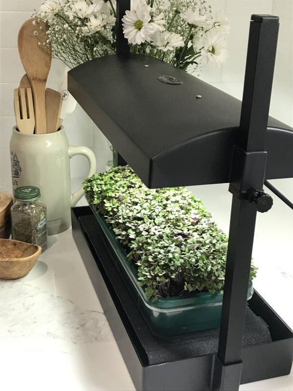 LED Microgreen Grow System - Everything you Need! - Garden Outside The Box