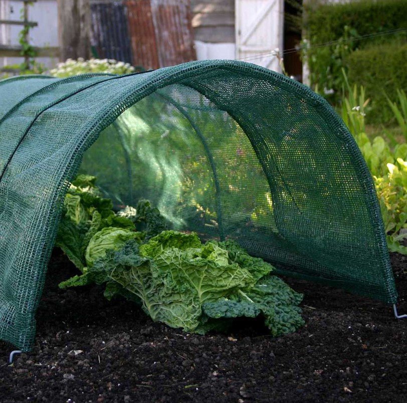 Low Tunnel Insect & Pest Netting Garden Outside The Box