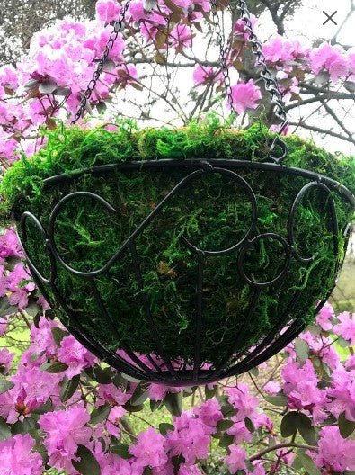 14" Metal and Moss Round Hanging Basket