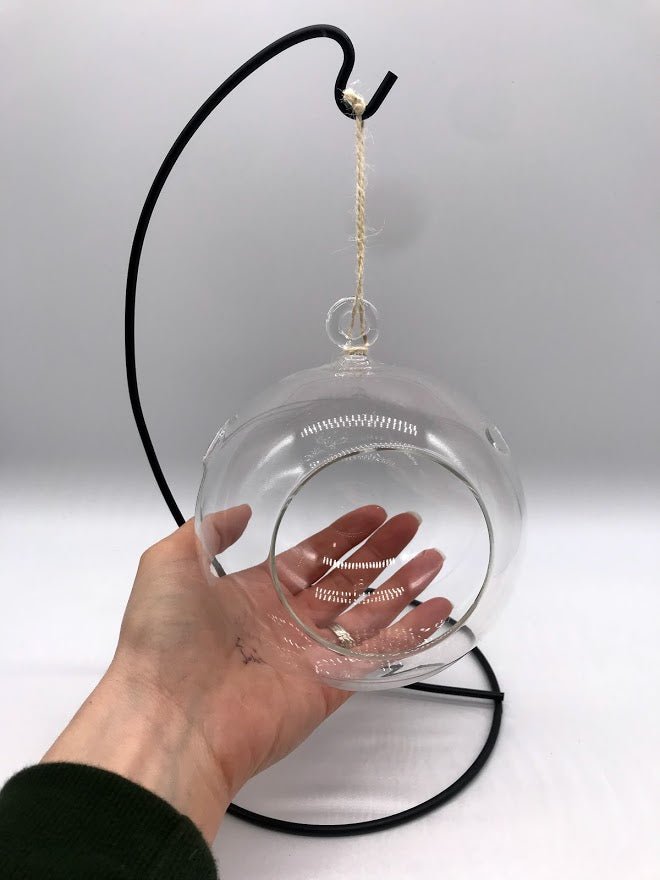Glass Globe with Stand for Air Plants