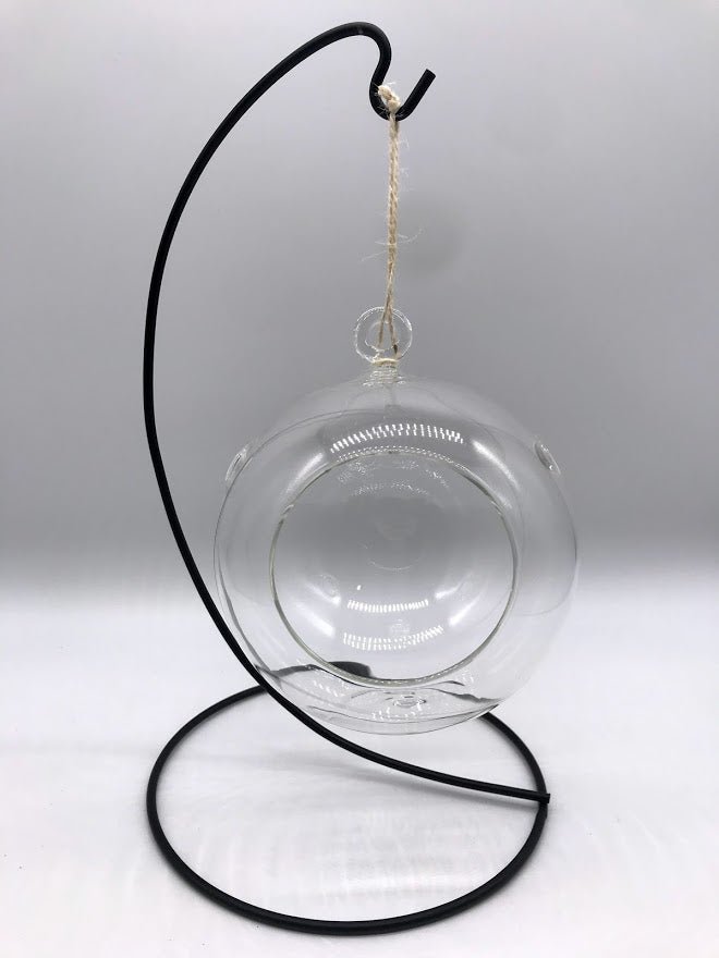 Glass Globe with Stand for Air Plants