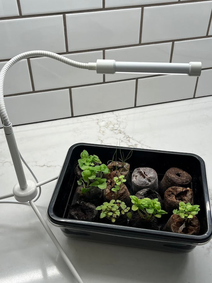 Grow Light - Compact & Adjustable