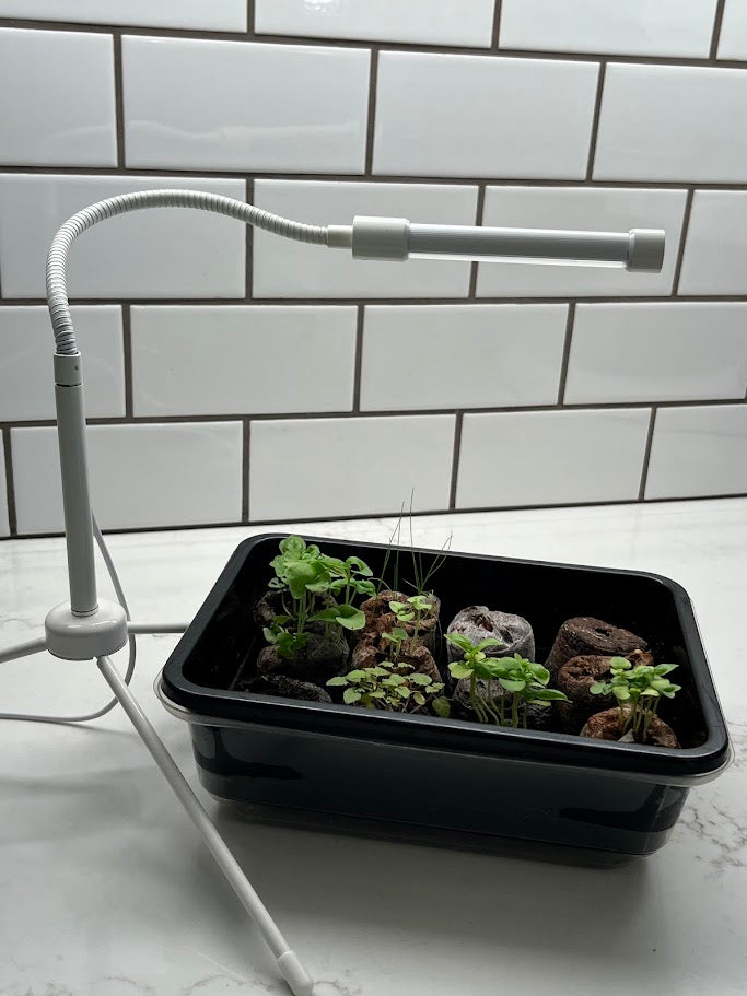 Grow Light - Compact & Adjustable