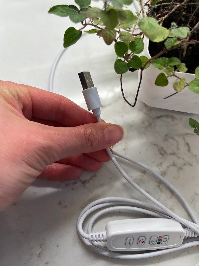 Plant Light Power Cord