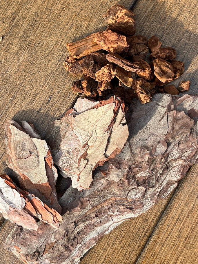 Close-up of dried plants and leaves on a wooden surface