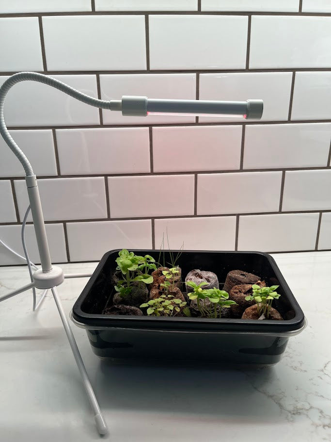 Grow Light - Compact & Adjustable