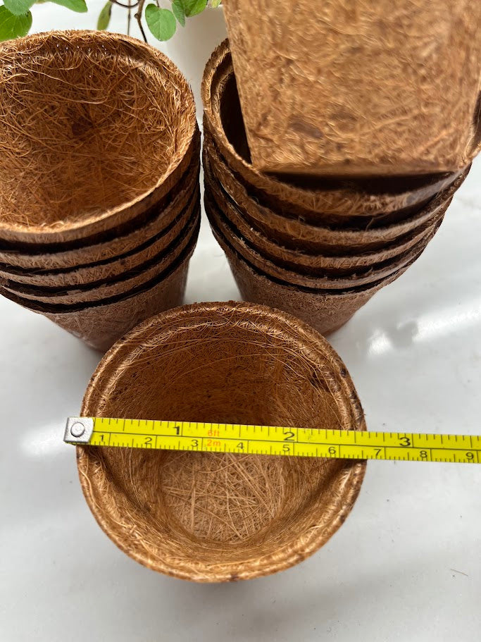 Stack of brown coir pots with a measuring tape for scale on a white background