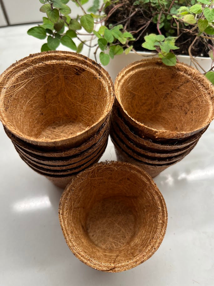 Stack of brown coir pots on a white surface with green plants in the background.