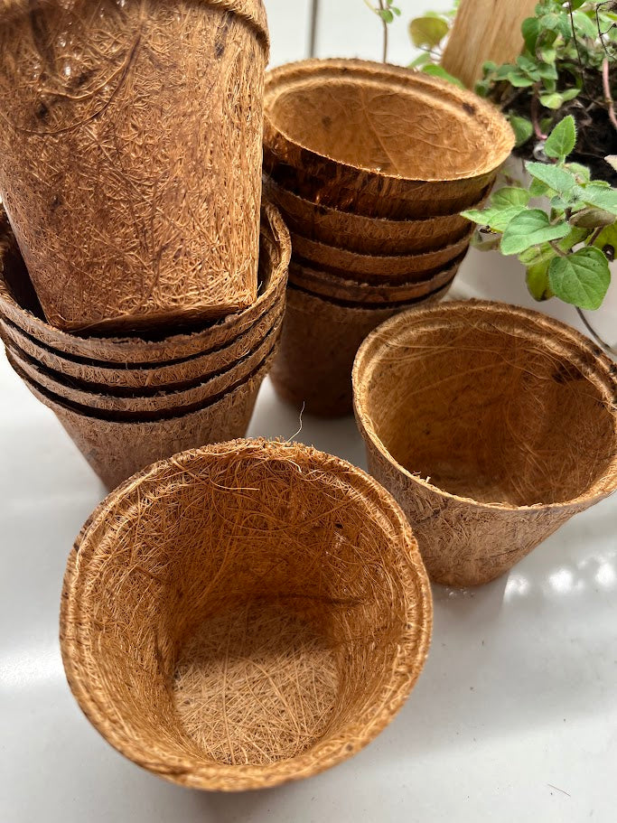 Stack of coconut fiber pots on a white surface with plants in the background