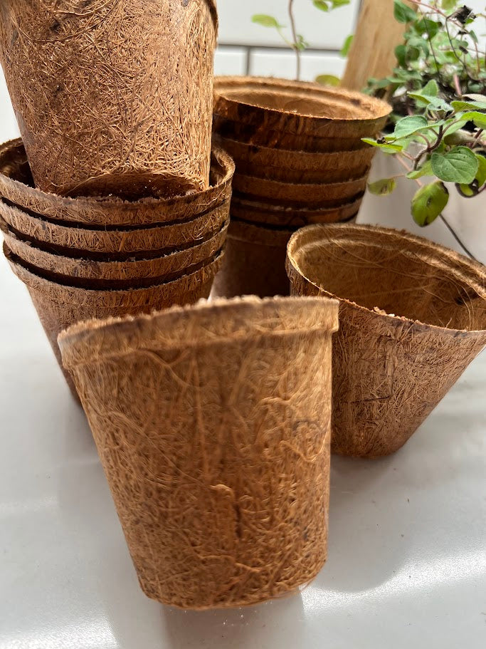 Stack of brown coir pots on a white surface with green plants in the background.