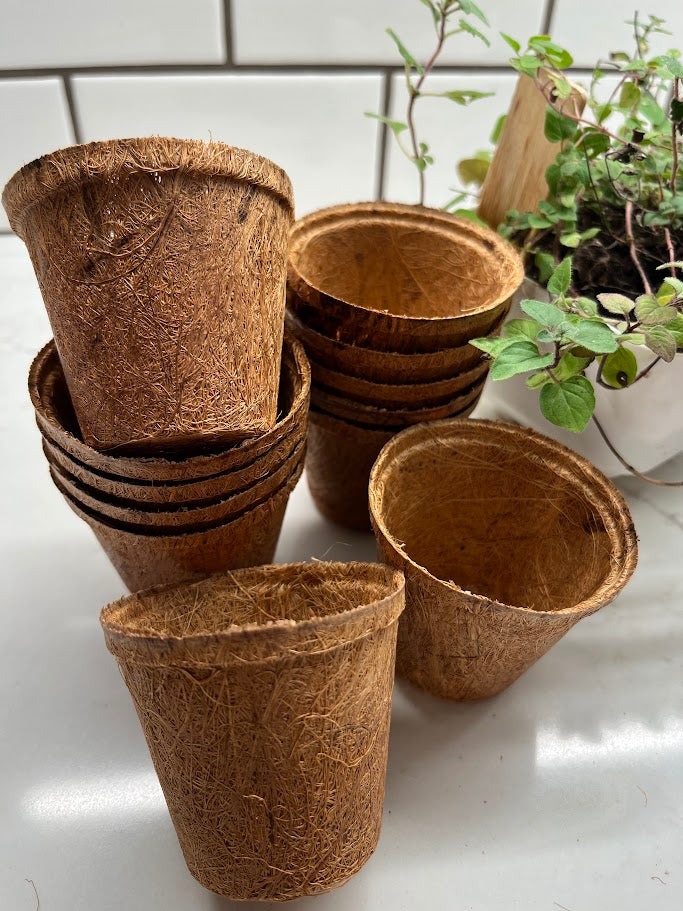 Stack of brown biodegradable pots on a white surface with plants in the background.