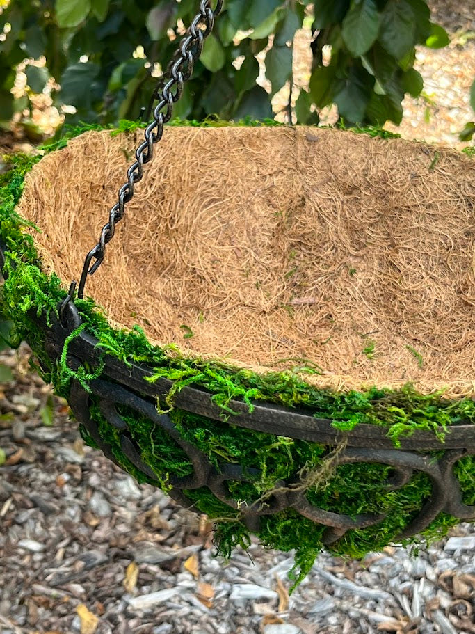 Coconut fiber hanging Basket with moss on a natural background