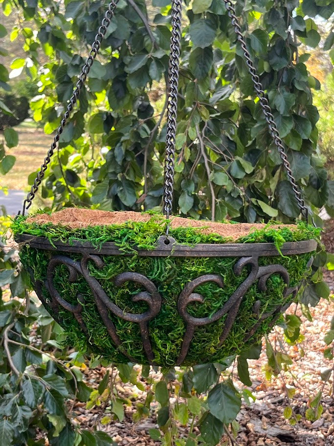 Decorative hanging basket with moss and metal design, hanging from a tree.