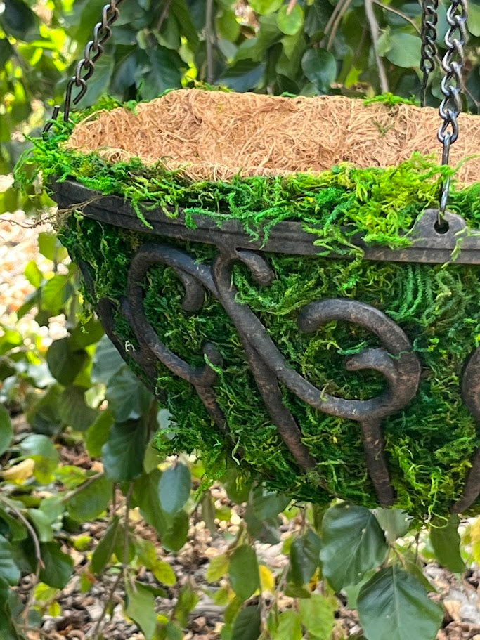 Decorative hanging basket with moss and wrought iron elements, surrounded by green foliage.