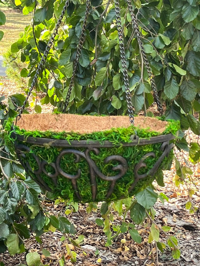Decorative hanging basket with moss against a leafy green background