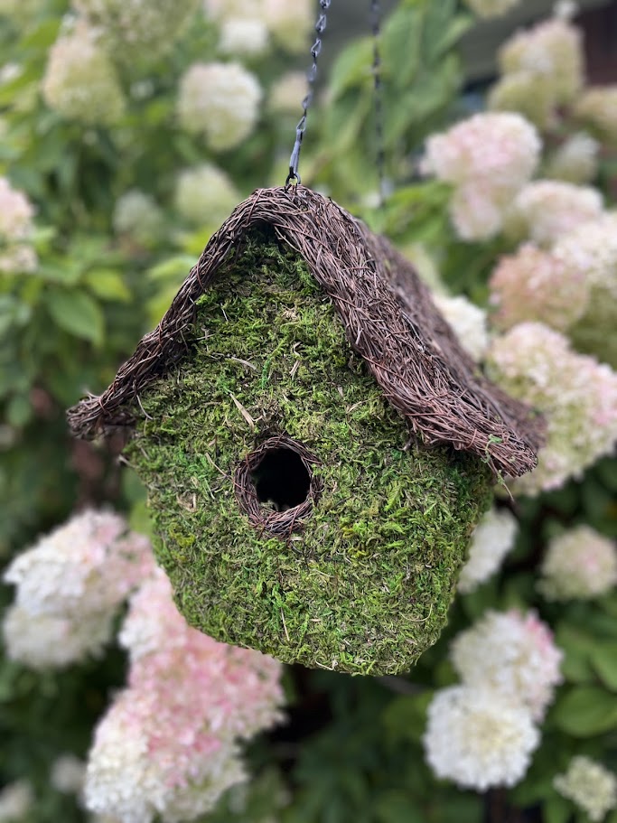 Moss-covered birdhouse hanging among white flowers