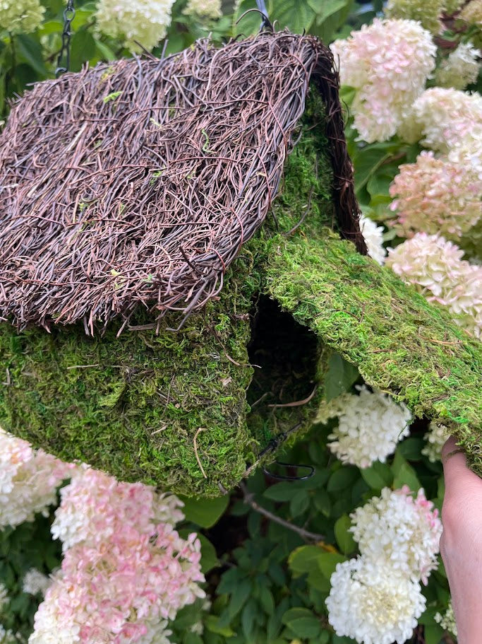 Moss-covered birdhouse with a hand reaching towards it, surrounded by white flowers.