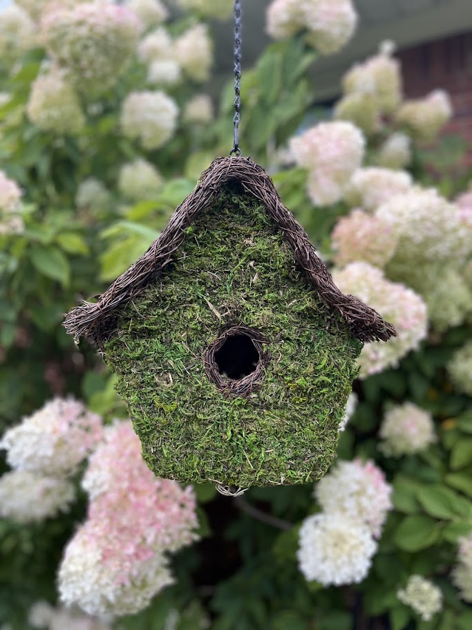 Moss-covered birdhouse hanging in front of white flowers
