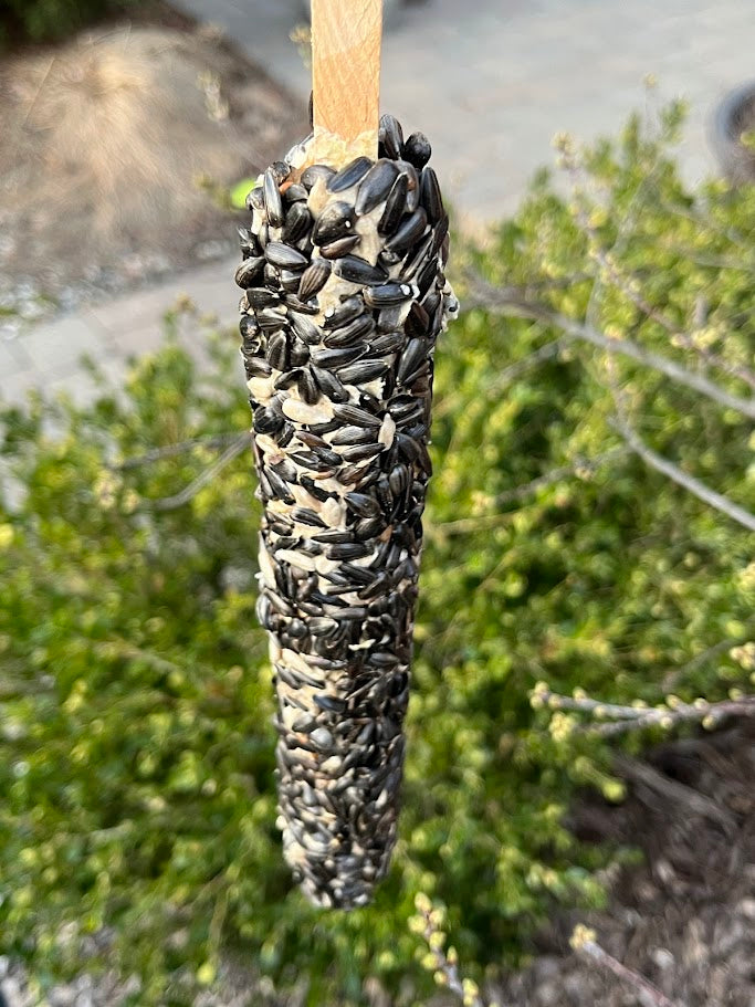 Bird feeder filled with sunflower seeds hanging from a stick against a natural background.