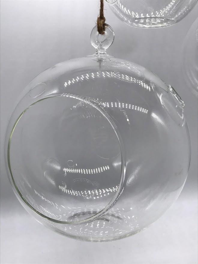 Hanging Glass Globe Terrarium for Air Plants