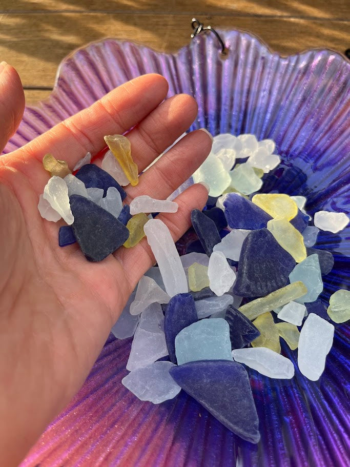 Hand holding sea glass pieces in front of a shell filled with more sea glass.