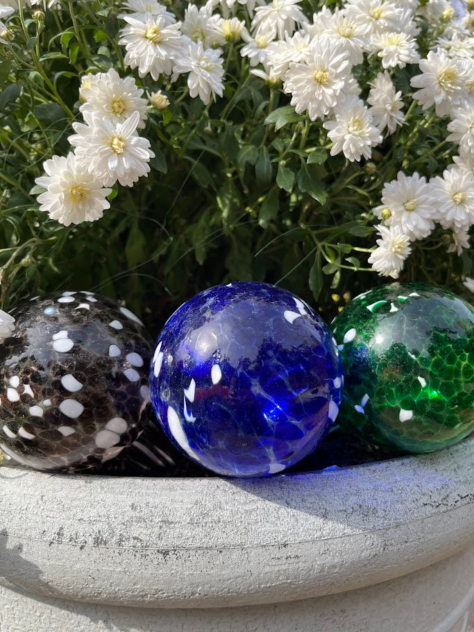 glass globe plant waterers Plant Quencher Display (Pack 12)