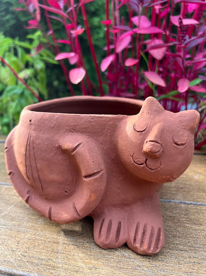 Terracotta cat-shaped planter on a wooden surface with green and pink plants in the background