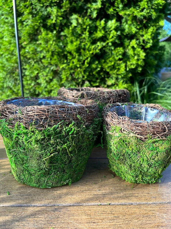 plant pot wicker basket SuperMoss Med Deco Basket Vineyard Fresh Green