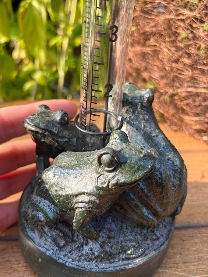 Decorative thermometer with frog design on a wooden surface