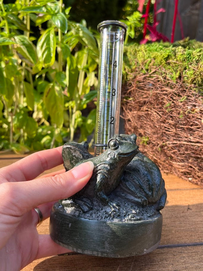 Frog-shaped rain gauge held by a hand with a garden background
