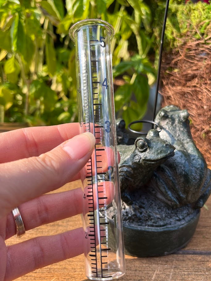 Hand holding a rain gauge next to a frog statue outdoors