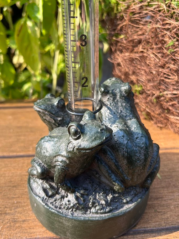 Decorative rain gauge with frog design on a wooden surface