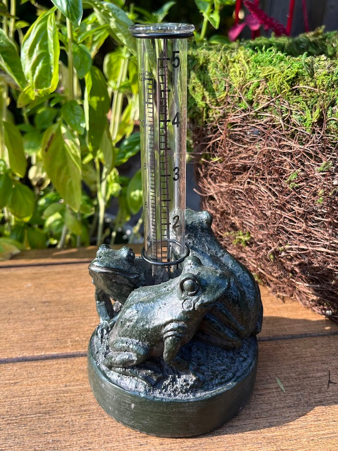 Decorative rain gauge with frog design on a wooden surface