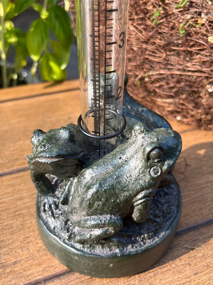 Decorative frog-themed rain gauge on a wooden surface