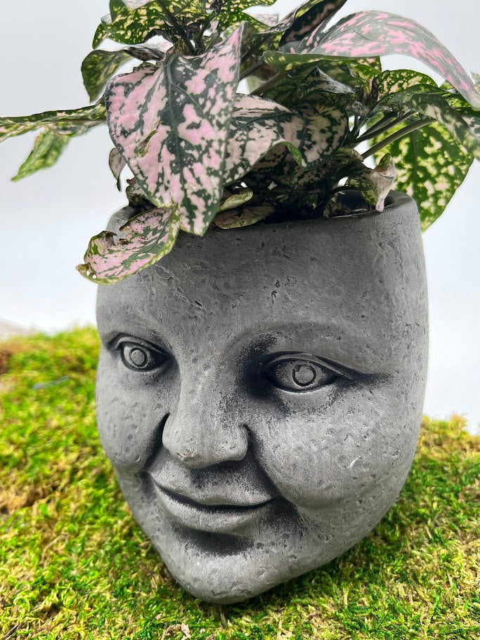 face pot plant Whimsical "Face" Planter