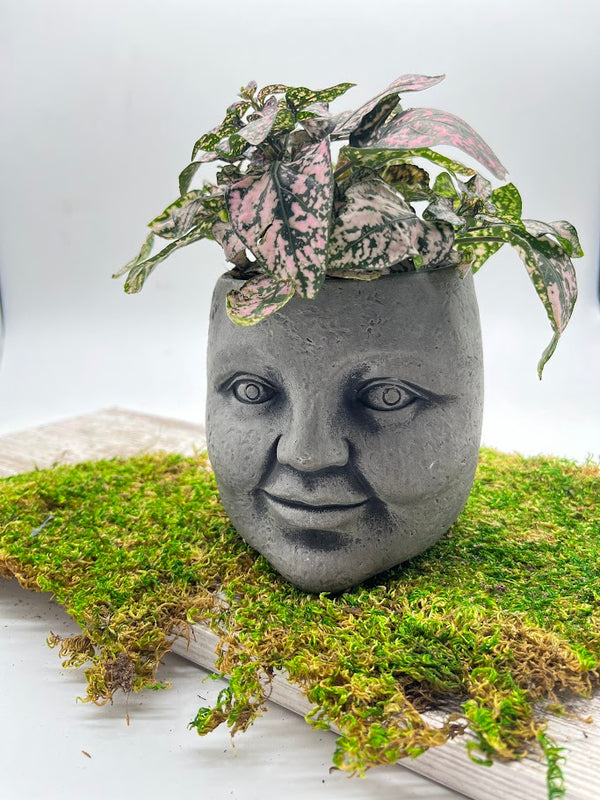 head pot for plants Whimsical "Face" Planter