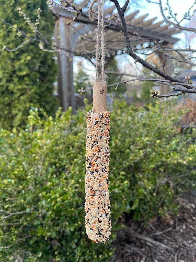 Seed Stick for Finches hanging on tree with natural background