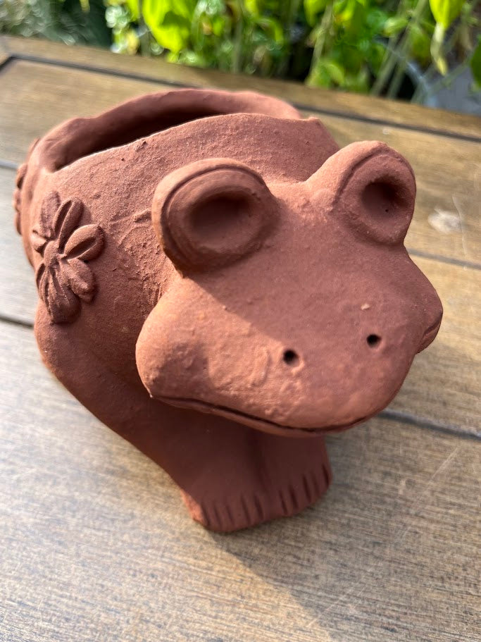 Ceramic frog planter on a wooden surface with greenery in the background